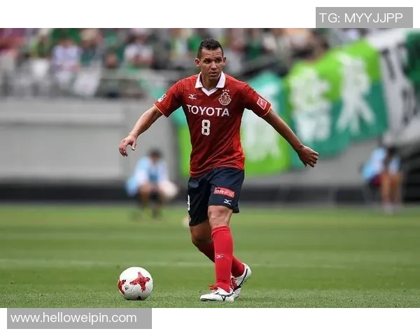 波特兰伐木与休斯敦城市发展对比探讨与未来展望