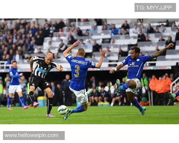 纽卡斯尔与埃弗顿激战正酣球迷欢呼声此起彼伏