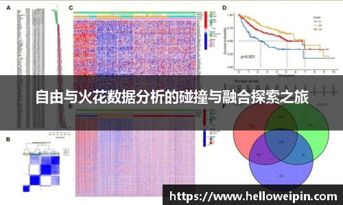 自由与火花数据分析的碰撞与融合探索之旅